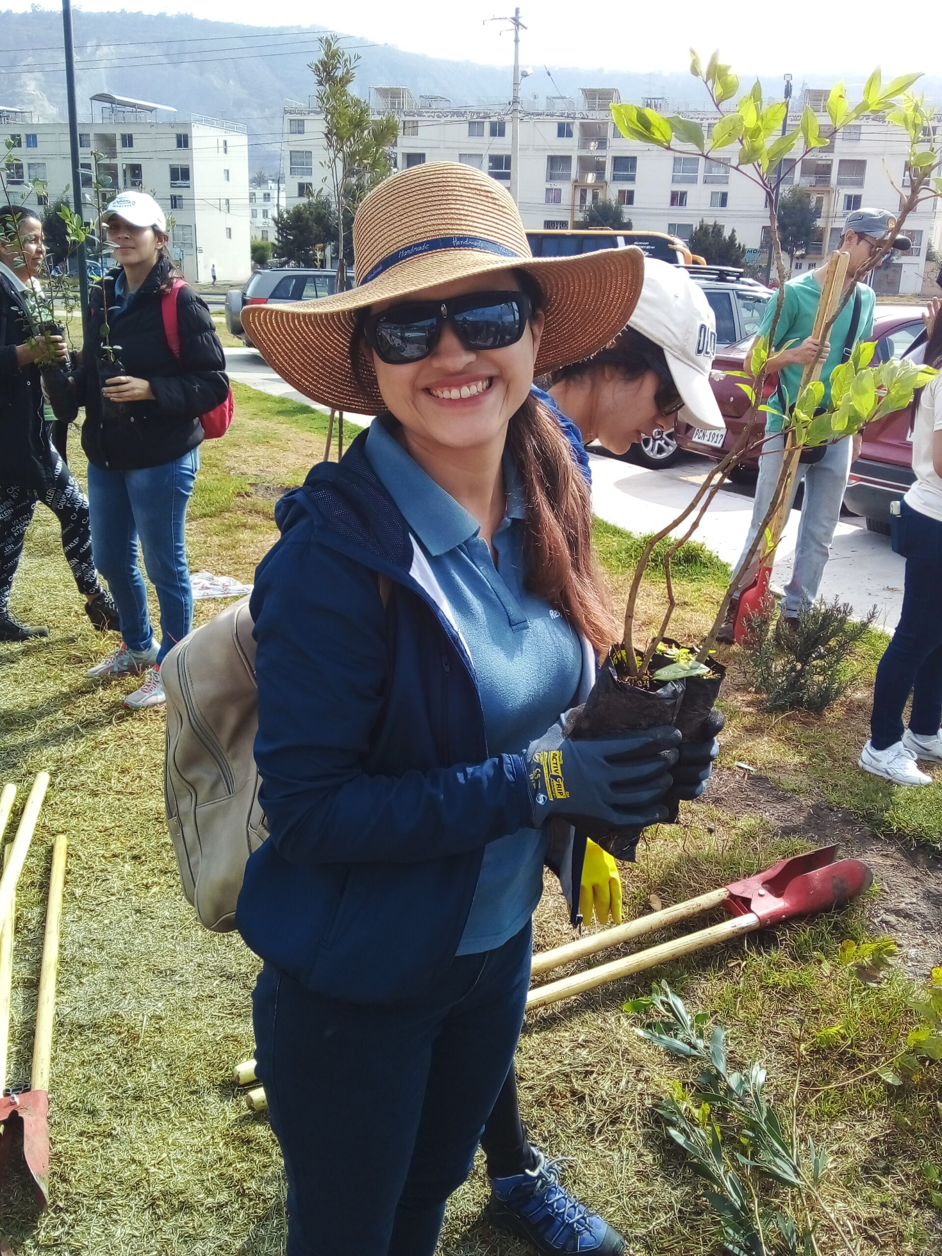 Adopt a tree